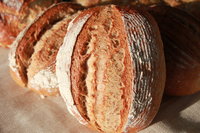 Artisan Sourdough Basic Bread Making Course