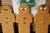 Gingerbread Man Decorating kit
