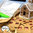 Gingerbread House build &amp;amp; decorate